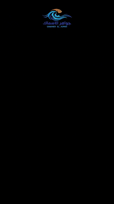 animation2