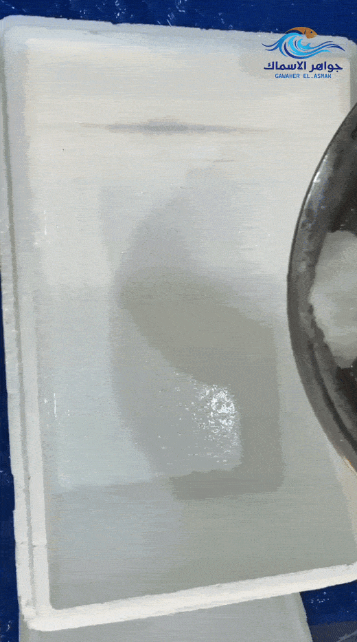 animation41-ezgif.com-gif-maker